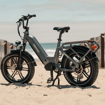 Himiway Big Dog Electric Bike