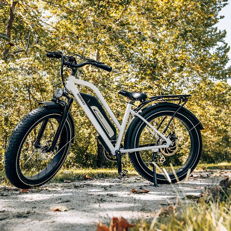 Himiway D3 Cruiser Electric Bike - Step Through
