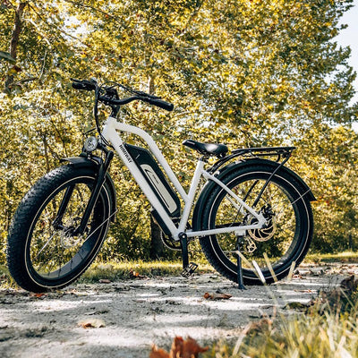 Himiway D3 Cruiser Electric Bike - Step Through