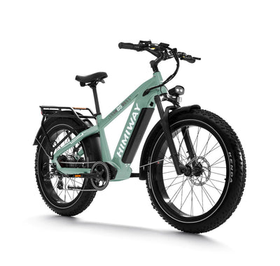 Himiway D5 Zebra 2024 Electric Bike