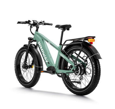 Himiway D5 Zebra 2024 Electric Bike
