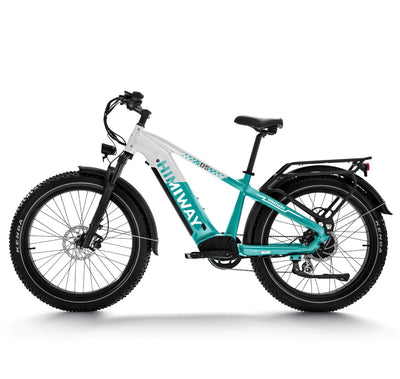 Himiway D5 Zebra 2024 Electric Bike