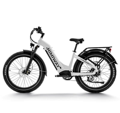 Himiway D5 Zebra 2024 Electric Bike