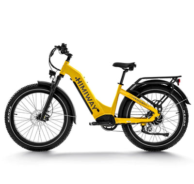 Himiway D5 Zebra 2024 Electric Bike